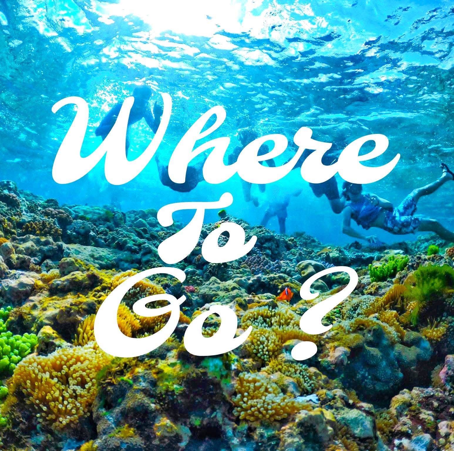 Divers swimming over a vibrant coral reef